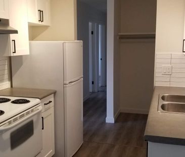 1 Bedroom - Renovated - Photo 2