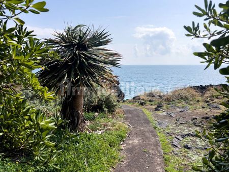 Appartamento via Angelo Musco 1, Centro, Aci Castello - Photo 3