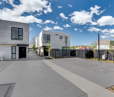 Come Be Delighted! - Photo 3