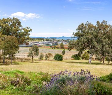 123 Browns Lane, Tamworth - Photo 5