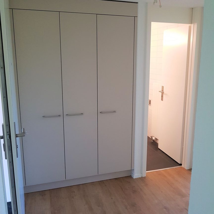 2.5 Zimmer, 53 m², EG - Foto 1