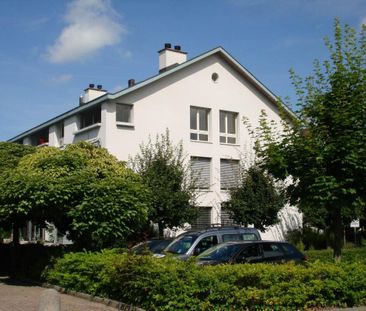 Frisch sanierte 2.5 Zimmerwohnung im Zentrum von Küssnacht - Photo 1