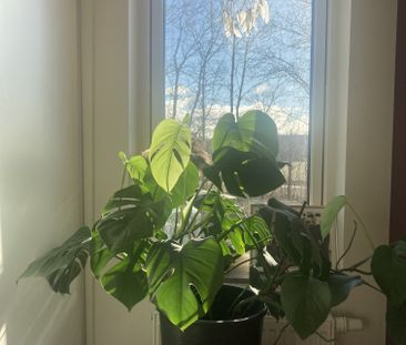Carl Söderbergs allé, Malmö - Foto 6