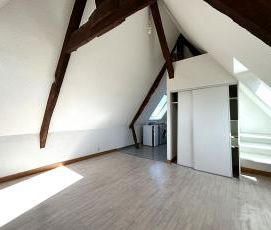 Location Appartement 1 pièce 16m² - Photo 4