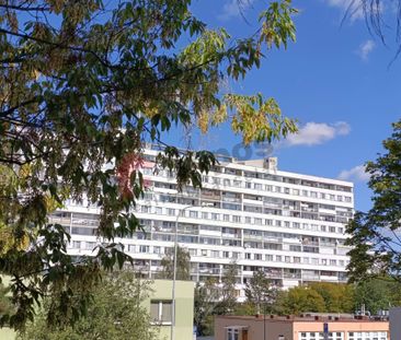 Pronájem bytu 1+1 40 m², Hurbanova 1305, Praha Krč - Photo 3
