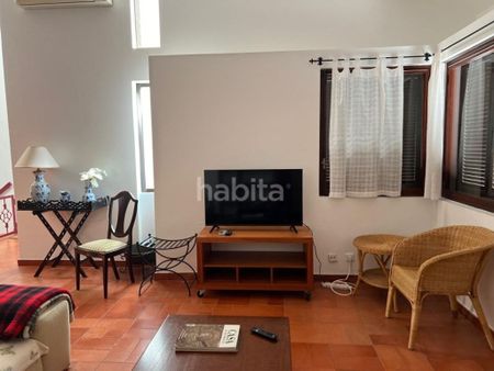 Luxury House for rent in Bairro do Pinhal, Santiago do Cacém, Distrito de Setúbal - Photo 5