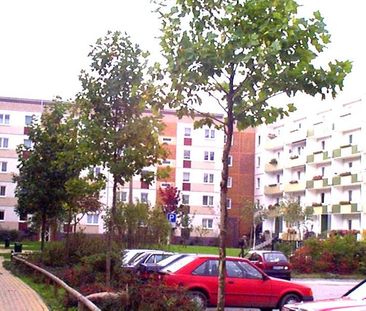 Wohnungsangebot Bandwirkerstraße 5 a - Photo 1