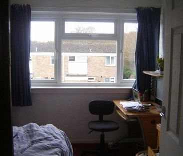 4 bedroom house share to rent - Photo 5