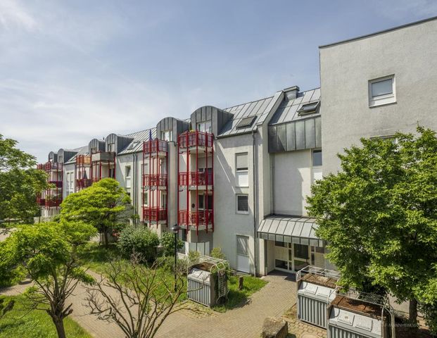 Demnächst frei! 1-Zimmer-Wohnung in Speyer - Foto 1