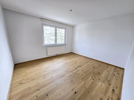 Helle 3-Zimmer-Wohnung in ruhiger Hoflage - inkl. Heizkosten und Warmwasser! - Photo 2