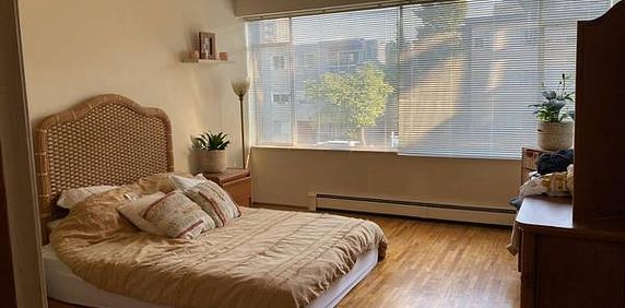 1 Year Sublet Available - 1 Bedroom in Fairview (Furnished) - Photo 2