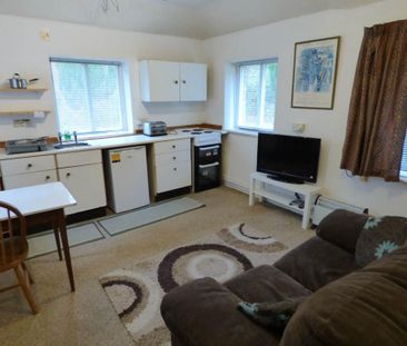 1 bedroom house to rent - Photo 1