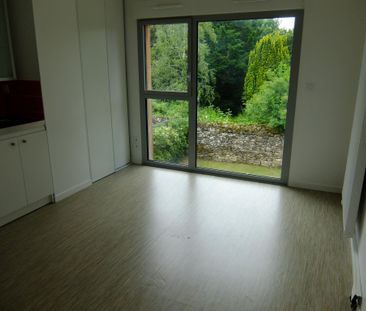 Location Appartement 1 pièce 21m² NANTES 44100 - Photo 5