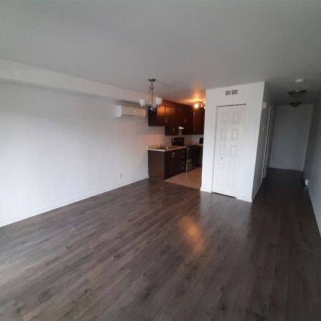 Beau 3 ½ à louer – 153, rue de Dublin, unité 5 (Plateau Aylmer) Beautiful 3 ½ for rent – 153 Dublin Street, Unit 5 (Aylmer Plateau) - Photo 3