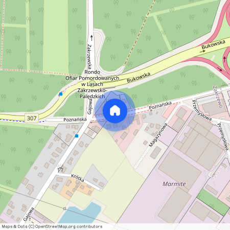 Zakrzewo, Dopiewo, poznański, wielkopolskie