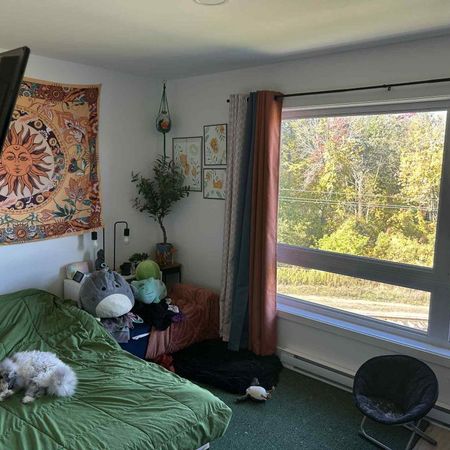 Appartement 5 1/2 - Photo 3