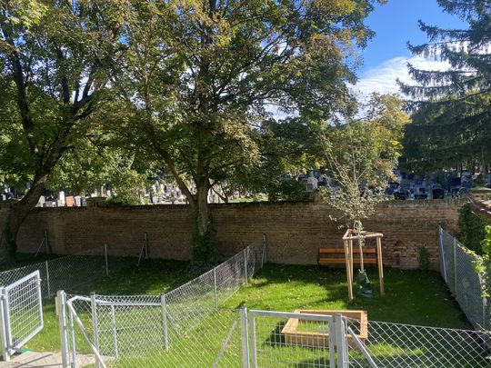 MIETANBOT ANGENOMMEN - Top Weitblick Wohnung U3 2 Zimmer + Balkon - 1 bedroom apartment + balcony ERSTBEZUG =Das Laurenz= - Photo 1