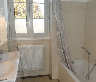 COLMAR - APPARTEMENT 3 Pièces - Photo 3