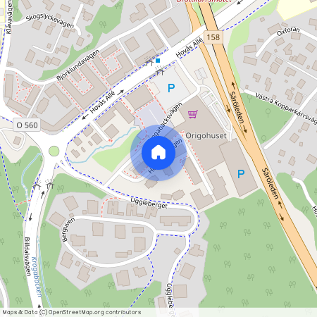 Hedtångsvägen, Hovås