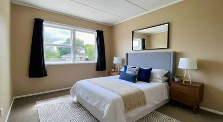 Sunny Stand-Out On Tasman Street! - Photo 3