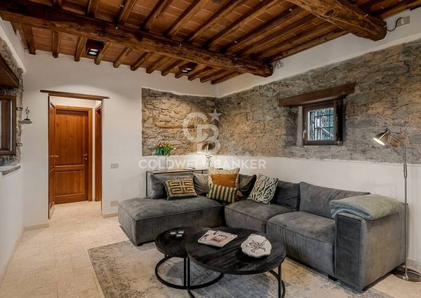 viale apua, Pietrasanta, Tuscany 55045