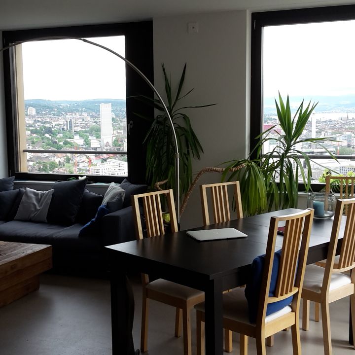 Terassenwohnung | mit Aussicht über ganz Zürich - Foto 1