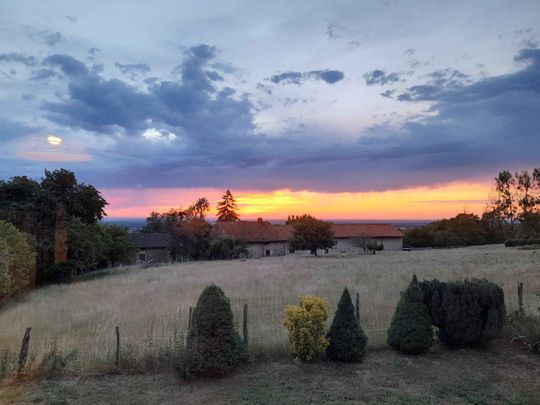 3 pièces - Meublé - 70,5 m² - RDC - Colocation non autorisée - Photo 1