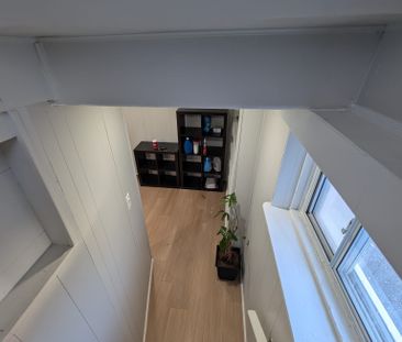 For Lease - 126 Sheldon Avenue Unit# Lower, Newmarket, Ontario - Photo 5