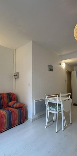 Location Appartement 1 pièce Meublé 19m² BLOIS 41000 - Photo 1