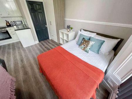 Upper Parliament Street, L8 - Photo 3