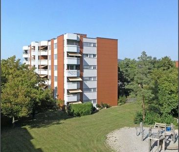 Zuhause im schönen Baselland! - Foto 4