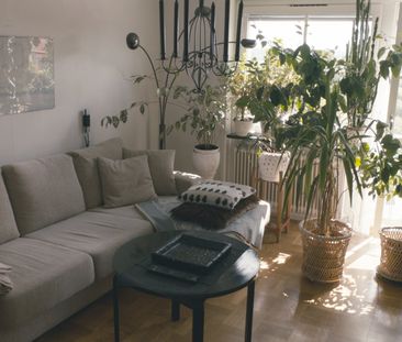 Bovägen, Timrå - Foto 1