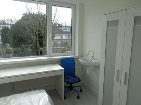Dr Cuyperslaan - Photo 5