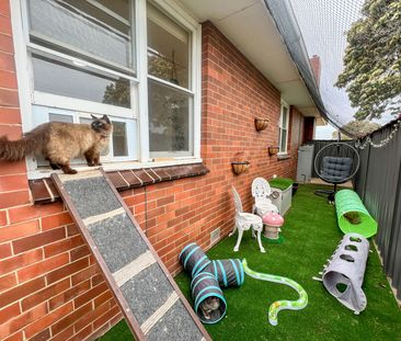 1 Chaston Street, 3620, Kyabram Vic - Photo 5