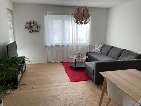 Bel appartement rénové de 3 pièces avec place de parking dans un endroit calme à Zurich - Foto 3