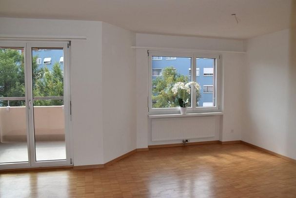 Schöne helle 3.5 Zimmerwohnung in Wetzikon ZH - Foto 1