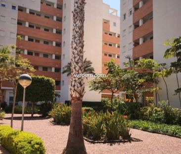 Apartment in Guardamar del Segura, PUERTO, for rent - Photo 4