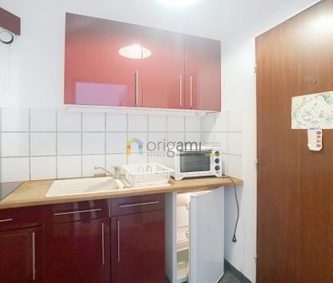 Location Appartement 1 pièce 24m² STRASBOURG 67000 - Photo 6