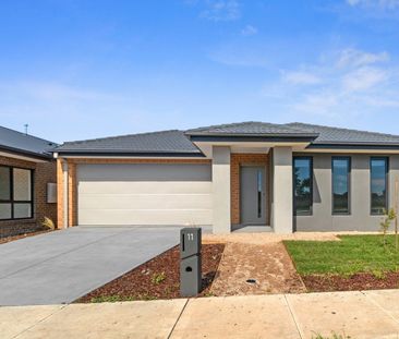 Brand New 4 Bedroom Family Home - Photo 5