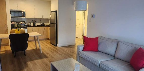 Cession de bail a court terme incluant le mois décembre gratuit. - Photo 2