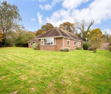 Newly refurbished bungalow in rural setting - Photo 2