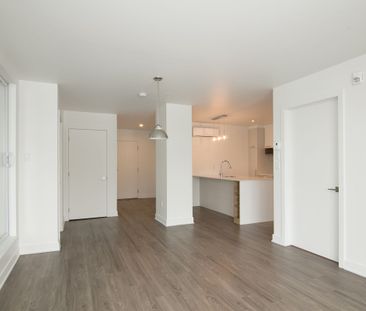 9675 Av. Papineau - Photo 1