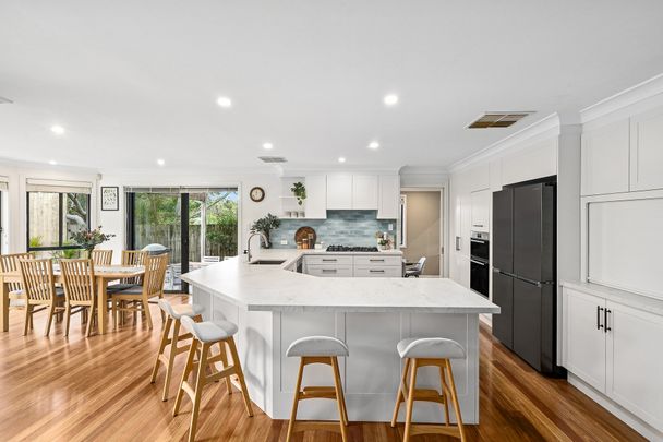 24 Corymbia Circuit, Frenchs Forest NSW 2086 - House For Rent | Domain - Photo 1