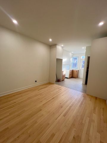 Appartement à louer, Montréal (Rosemont/La Petite-Patrie) - Photo 4