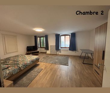 20 m² - Photo 1