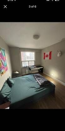 Private Room with Private washroom in 2 bedroom apartment - Photo 1