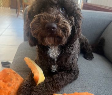 Coburg North - Photo 1