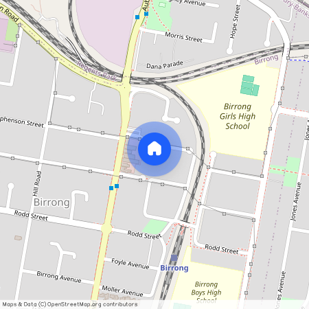 11A Neutral Avenue, NSW 2143, Birrong