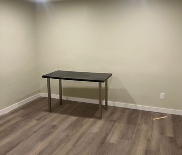 For Lease - 30 West Street Unit# Lower, East Gwillimbury, Ontario - Photo 3