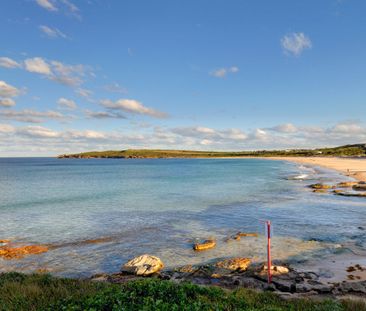 4/119 Duncan Street, Maroubra NSW 2035 - Apartment For Rent | Domain - Photo 3